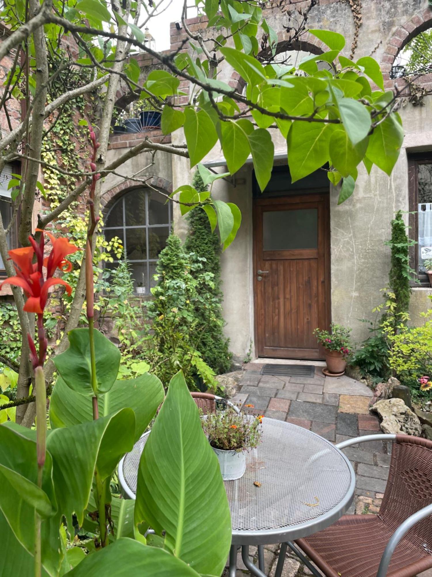 "El Patio" Am Donnersberg Apartment Dannenfels Ngoại thất bức ảnh